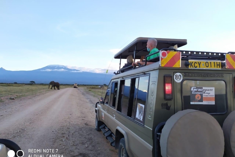 Combinaison de 15 jours de safaris spectaculaires au Kenya et en Tanzanie avec