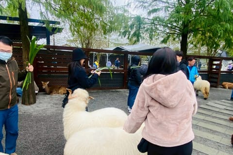 Yilan: Qingshui Geothermal Cooking & Farm Experience - Image 2