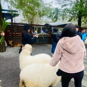 Yilan: Qingshui Geothermal Cooking & Farm Experience