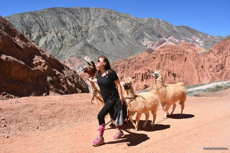 Purmamarca: Hiking with Llamas through multicolored mountains