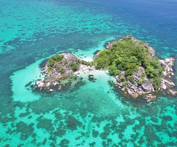 Heldags Koh Lipe 5 points snorkling (East Zone) med frokost