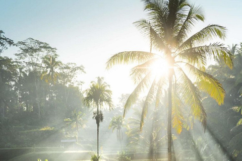 Les merveilles des chutes d'eau de Bali : Explorer les chefs-d'œuvre de la nature