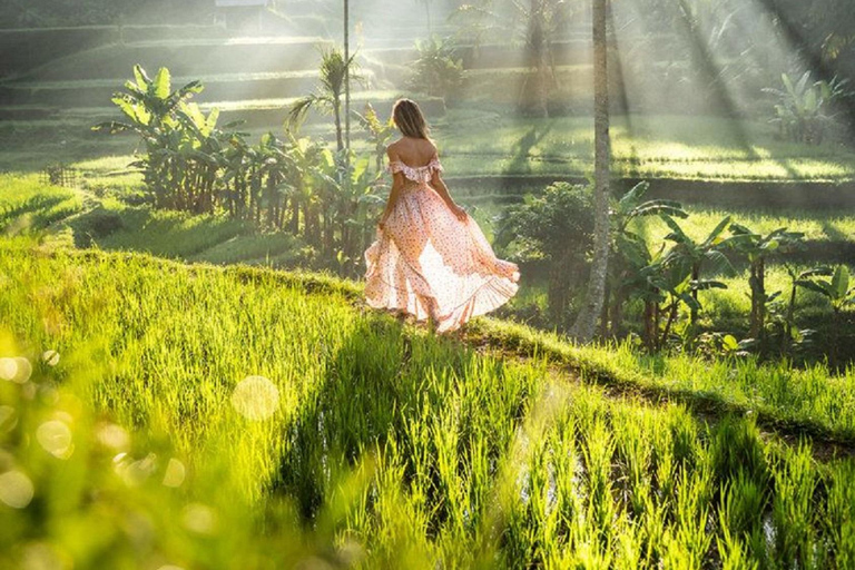 As maravilhas das cachoeiras de Bali: Explorando as obras-primas da natureza