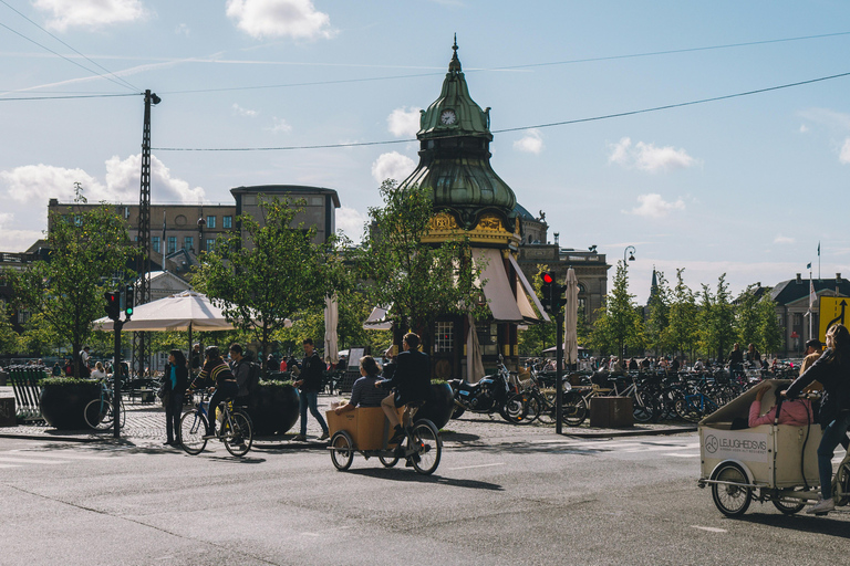 Copenaghen: Tour guidato da una guida privata