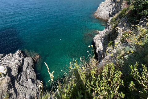 Da Salerno: Tour privato di Positano, Amalfi e Ravello