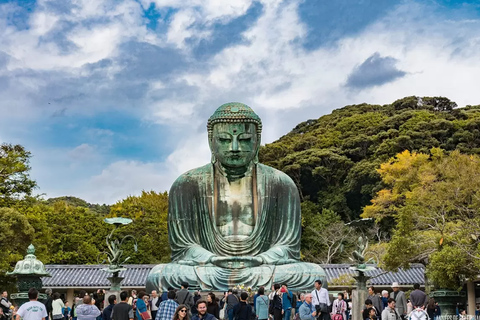 From Tokyo: Kamakura Private Tour with Great Buddha & Bamboo