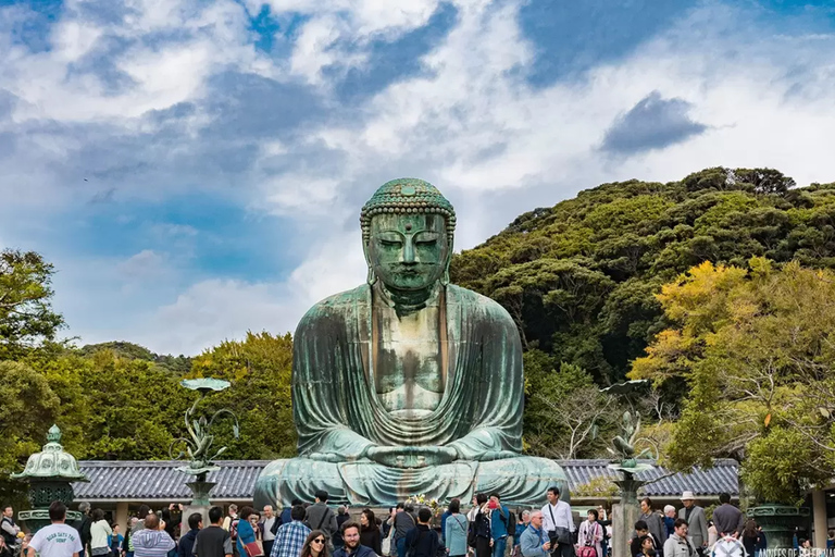 From Tokyo: Kamakura Private Tour with Great Buddha & Bamboo