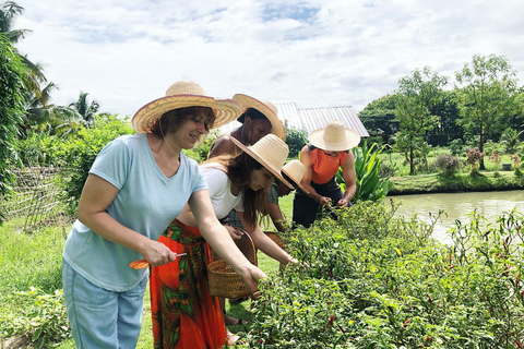 Experiencia de Cocina Tailandesa Ecológica en Chiang Mai