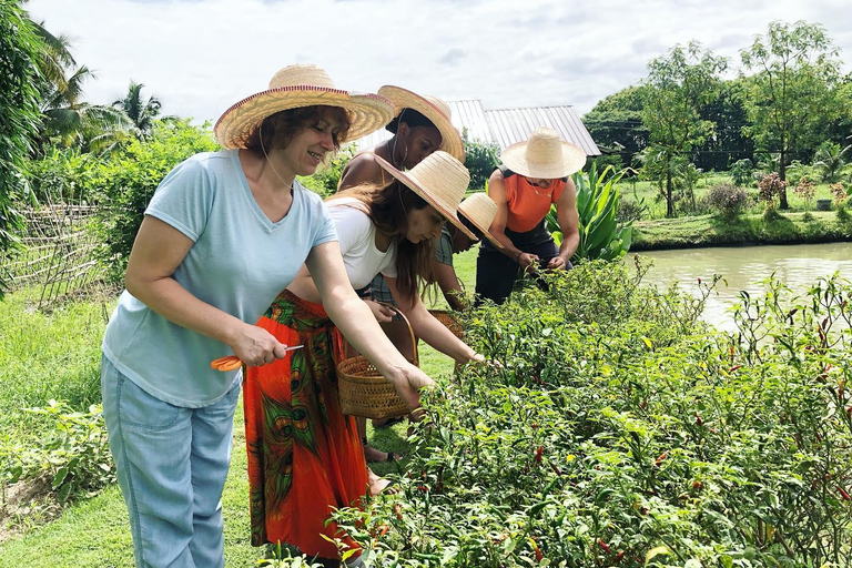 Experiência de culinária tailandesa orgânica em Chiang Mai