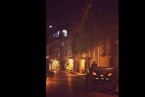 Cartagena: cena e giro in carrozza nella città murataCartagena: cena e giro in carrozza nella città vecchia
