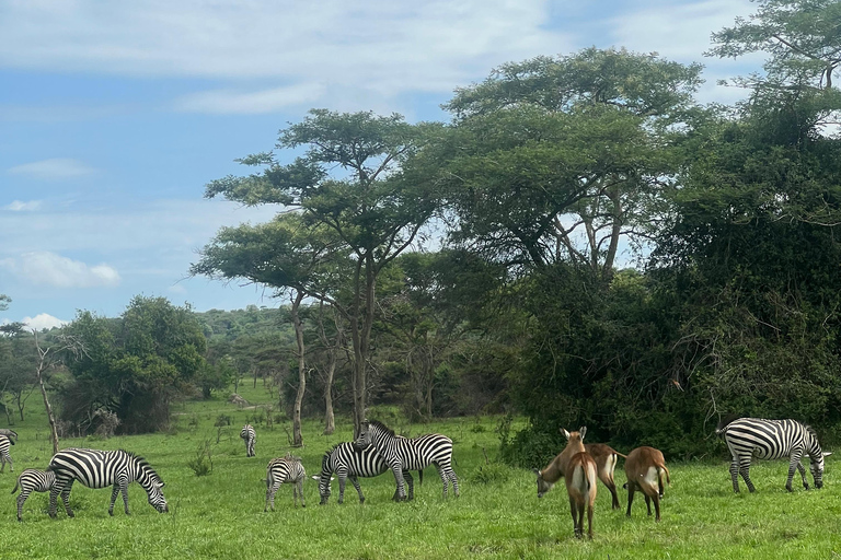 Entebbe: Nationaal Park Lake Mburo, Equator Tour &amp; Rondvaart