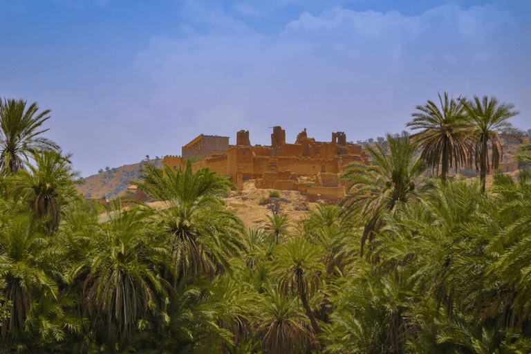 Agadir: Taroudant & Tiout Day Trip with Breakfast & Lunch