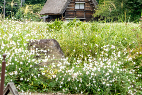 Nagoya: Shirakawa-go & Takayama Guided Day Trip