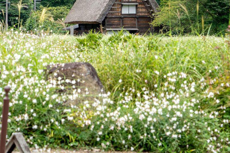 Nagoya: Shirakawa-go & Takayama Guided Day Trip
