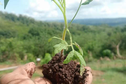 Explora los senderos de los charcones de tierra sagrada