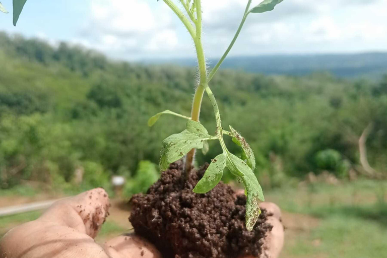 Explora los senderos de los charcones de tierra sagrada