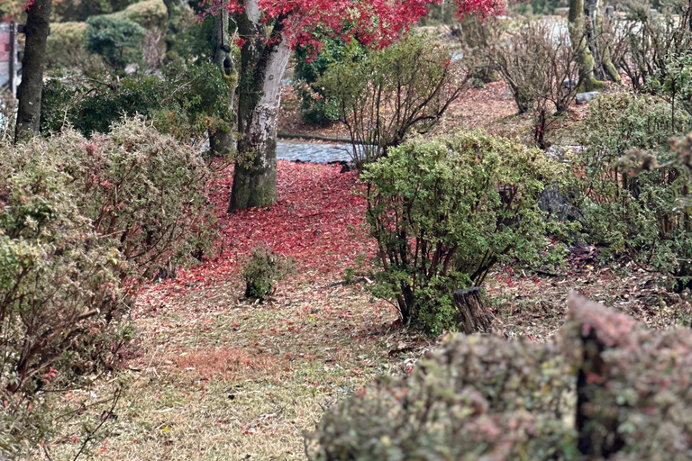 Kyoto Private Customizable Tour With Guide & Luxury vehicle