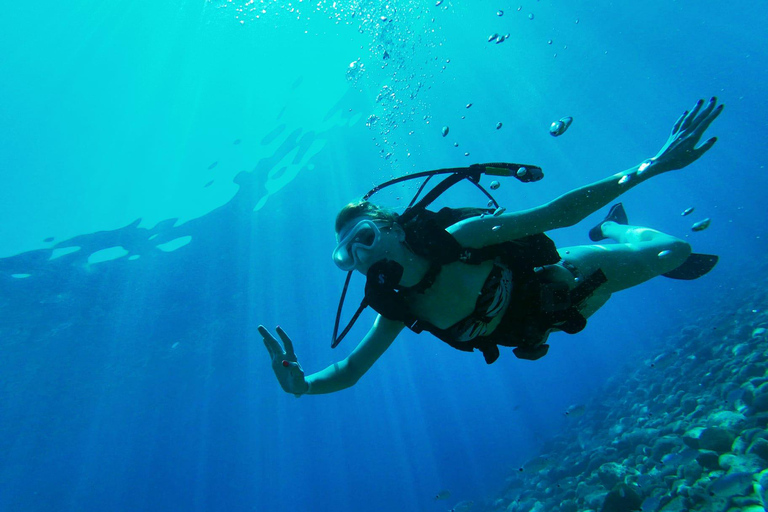 Alanya Scuba Diving Exprience w/Lunch & Transfer