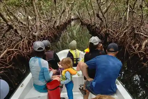 Roatan: East Side Mangrove Boat Tour with Snorkeling