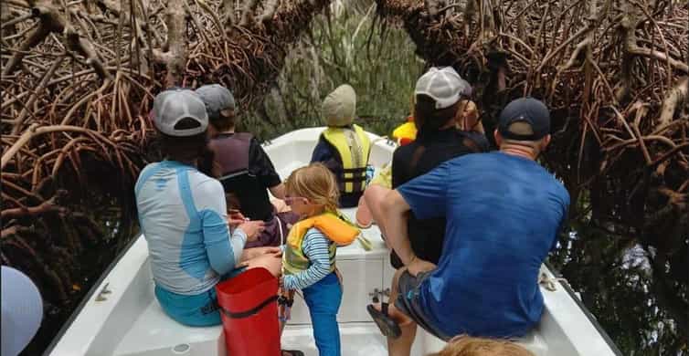 Manglares del lado este de Roatán en barco, con esnórquel