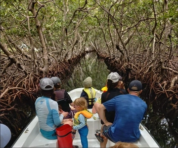 Roatan: East Side Mangrove Boat Tour with Snorkeling