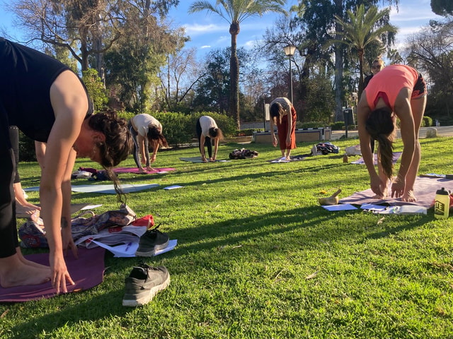 Seville: Group Yoga Class for All Levels – in French