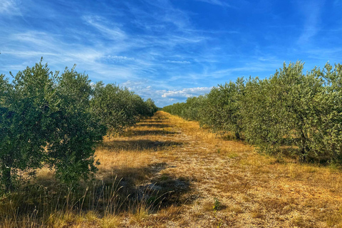 Olive Park Self Drive - Öl-, Wein- und LebensmittelverkostungOlivenmühlentour, Öl, Wein &amp; Essen erleben - Selbstfahrer