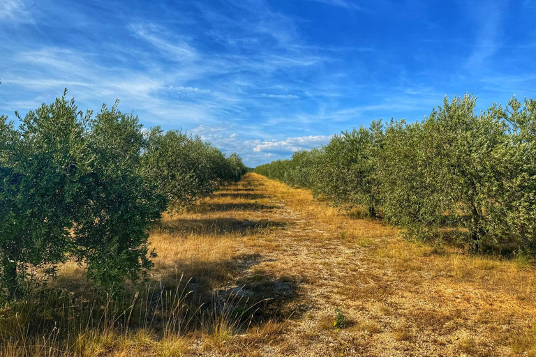Olive Park Self Drive - Öl-, Wein- und LebensmittelverkostungOlivenmühlentour, Öl, Wein &amp; Essen erleben - Selbstfahrer