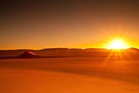 Doha: Safari privato della città e del deserto con giro in cammello