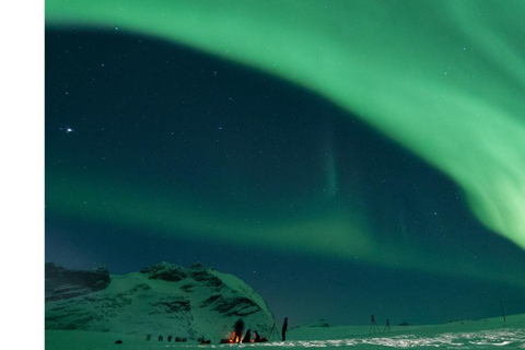 Tromso Persecución en Gran Autobús de la Aurora Boreal con Fotos Gratis