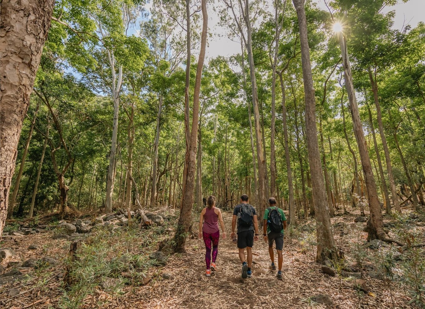 Mauritius: Black River Gorges National Park 3-timers vandretur