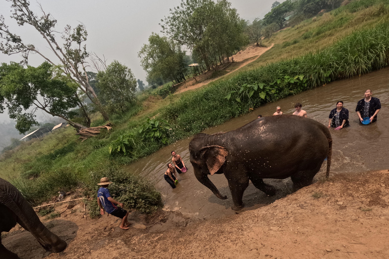 Elephant Care Program And Sticky Waterfall Highlights Full-day elephant care and sticky waterfall (Program B)