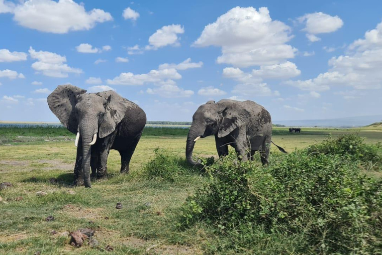 8-Day Authentic Kenya Safari with Culture, Safari & Wildlife