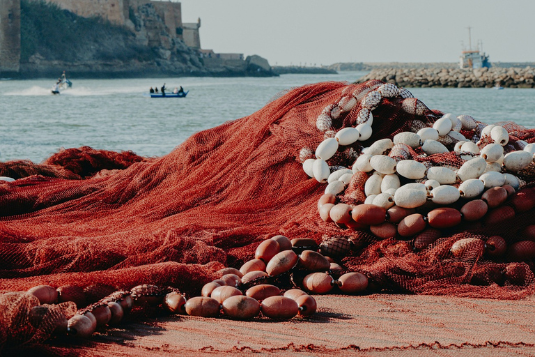 Discover the Enchanting Journey from Fes to Tangier