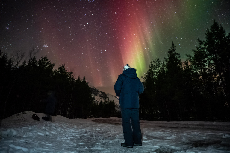 Tromsø: Northern Lights Tour (Max 8) Pickup + Finland