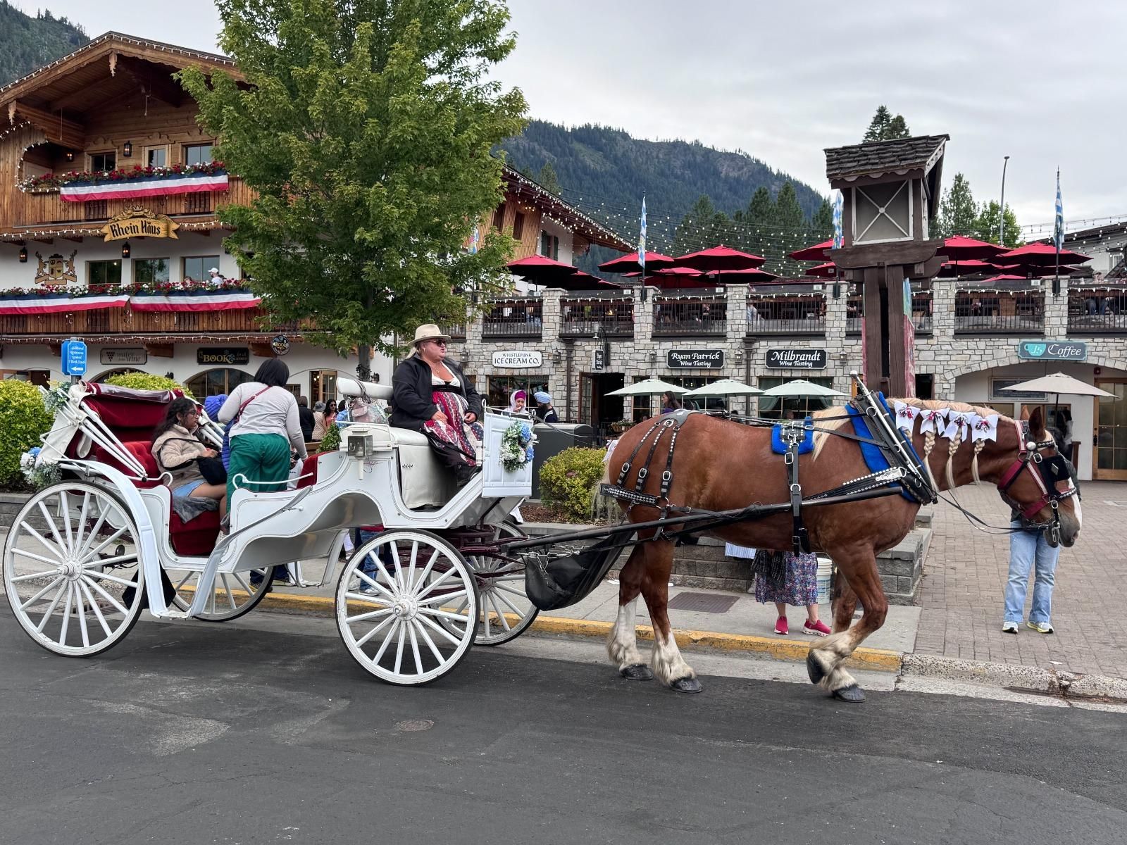Ab Seattle: Leavenworth & Cascade Mountains Tagestour