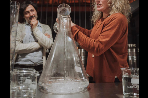 Colonia del Sacramento: S34 Gin Tour, Tasting & Gin Making Colonia del Sacramento: S34 Gin Discovery Tour