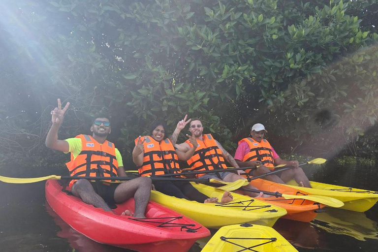 Canoe Ride through Mangroves in Kumbalangi From Cochin