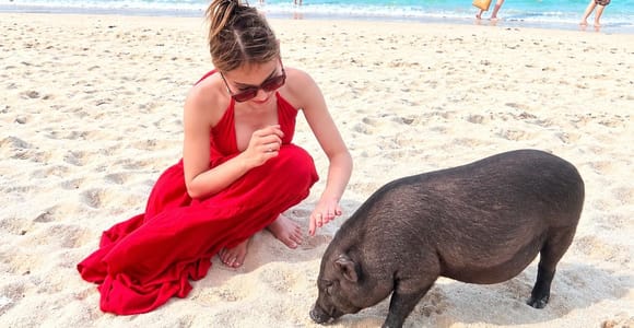 Koh Samui: Pig Island Snorkeling Private Longtail Boat Tour