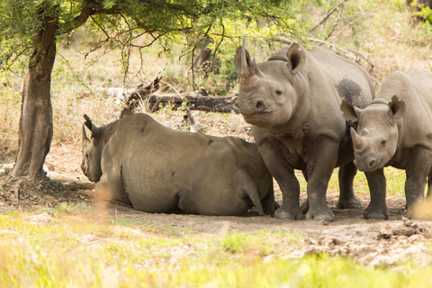 From St Lucia: Big 5 Safari in the Hluhluwe-Imfolozi Park Safari For Six Big 5 Safari