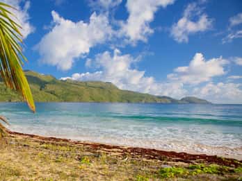 Punta Cana: Paradise Escape to Rincon Beach & Bacardi Island