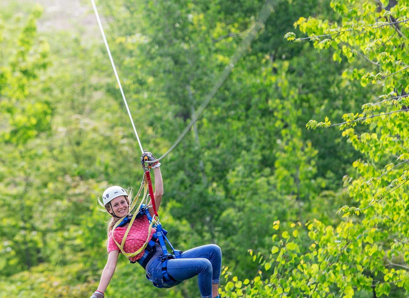 Henderson, Minnesota: Zipline Canopy Tour med 14 linjer