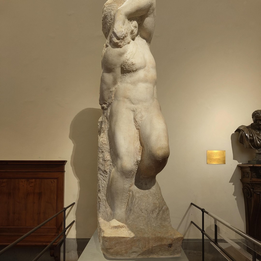 Galerie média