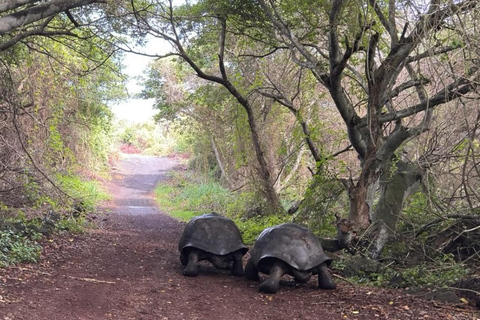 Isabela Island: Wetlands Tour with Giant Tortoise Center