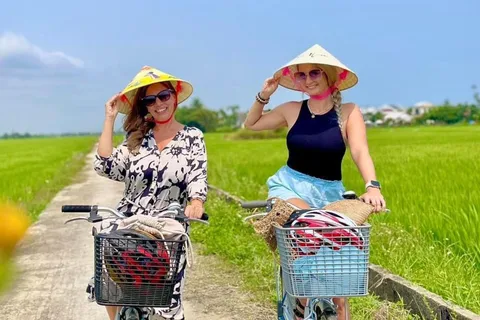 Hoi An Recorrido en bicicleta por la campiña en grupo o en privado