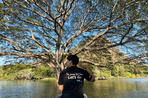 Chiang Mai: Wat Ban Den, Sticky Waterfall, & Rain Tree Tour Giant Rain Tree, Sticky Waterfall, Hiking at Moai Mountain