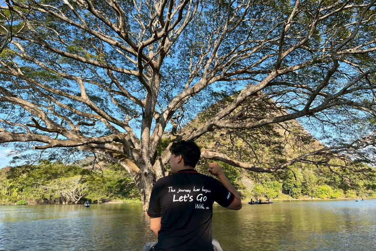 Chiang Mai: Wat Ban Den, Sticky Waterfall, & Rain Tree Tour Giant Rain Tree, Sticky Waterfall, Hiking at Moai Mountain