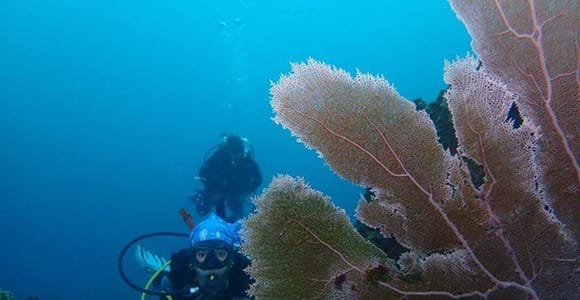 Cartagena: PADI DISCOVER SCUBA / MINICURSO DE BUCEO