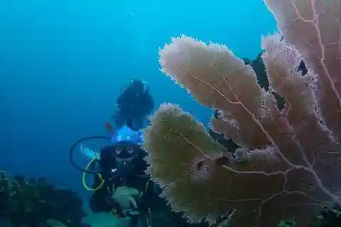 Cartagena: PADI DISCOVER SCUBA / MINICURSO DE BUCEO