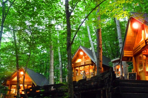 Sapporo Day Tour: Biei Blue Pond & Lavender Farm with Lunch 7:30 Pickup Point + Flower Sea Ticket (with Buffet + Melon)